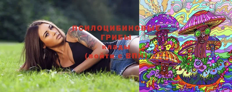 Псилоцибиновые грибы Magic Shrooms Нестеров